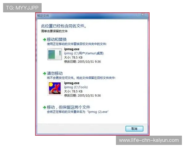 “SHO-CHAN Run 2025：全球跑者来香港一较高下”